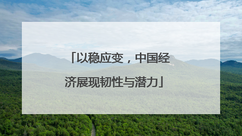 以稳应变，中国经济展现韧性与潜力