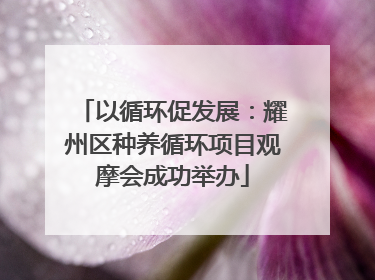 以循环促发展：耀州区种养循环项目观摩会成功举办