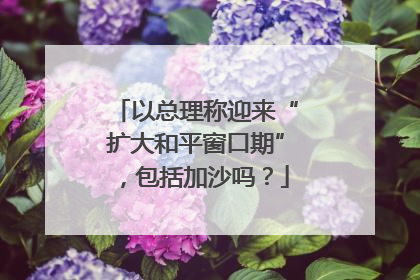以总理称迎来“扩大和平窗口期”，包括加沙吗？