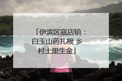 伊滨区寇店镇：白玉山药扎根 乡村土里生金