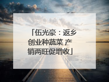 伍光豪：返乡创业种蔬菜 产销两旺促增收