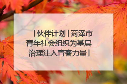 伙伴计划│菏泽市青年社会组织为基层治理注入青春力量