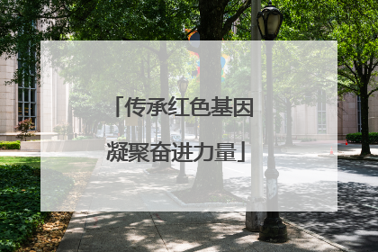 传承红色基因 凝聚奋进力量