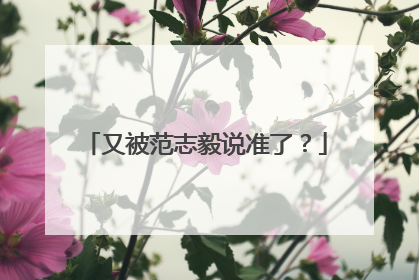 又被范志毅说准了？