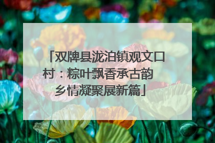 双牌县泷泊镇观文口村：粽叶飘香承古韵 乡情凝聚展新篇