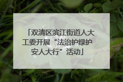 双清区滨江街道人大工委开展“法治护绿护安人大行”活动