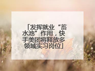 发挥就业“蓄水池”作用，快手美团将释放多领域实习岗位