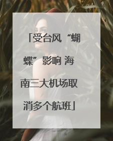 受台风“蝴蝶”影响 海南三大机场取消多个航班