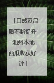 口感及品质不断提升 池州本地西瓜收获好评