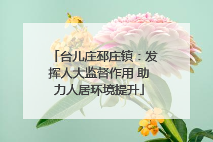 台儿庄邳庄镇：发挥人大监督作用 助力人居环境提升