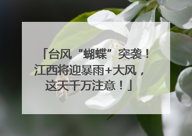 台风“蝴蝶”突袭！江西将迎暴雨+大风，这天千万注意！