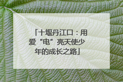 十堰丹江口：用爱“电”亮天使少年的成长之路