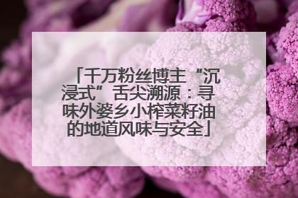 千万粉丝博主“沉浸式”舌尖溯源：寻味外婆乡小榨菜籽油的地道风味与安全