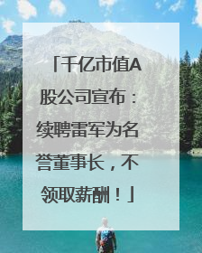 千亿市值A股公司宣布：续聘雷军为名誉董事长，不领取薪酬！