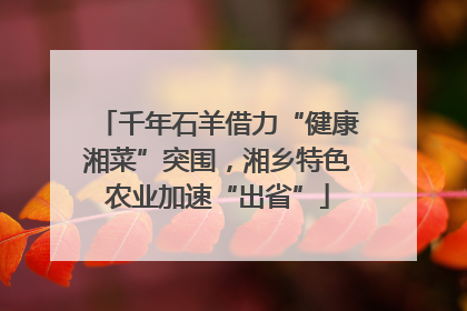 千年石羊借力“健康湘菜”突围，湘乡特色农业加速“出省”