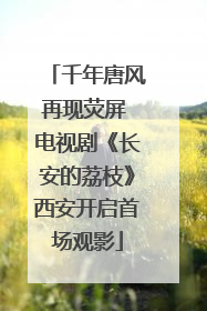 千年唐风再现荧屏 电视剧《长安的荔枝》西安开启首场观影