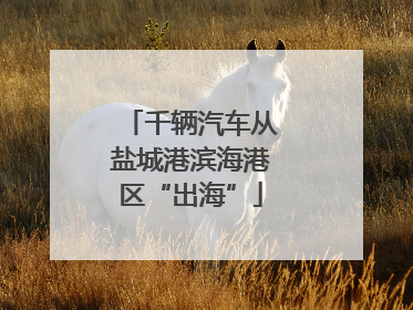 千辆汽车从盐城港滨海港区“出海”