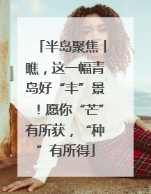 半岛聚焦丨瞧，这一幅青岛好“丰”景！愿你“芒”有所获，“种”有所得