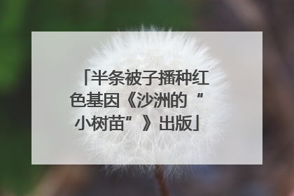 半条被子播种红色基因《沙洲的“小树苗”》出版