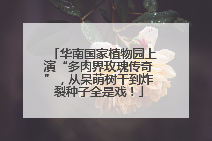 华南国家植物园上演“多肉界玫瑰传奇”，从呆萌树干到炸裂种子全是戏！