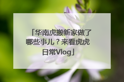 华南虎搬新家做了哪些事儿？来看虎虎日常Vlog