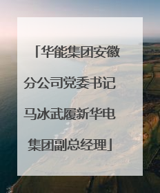 华能集团安徽分公司党委书记马冰武履新华电集团副总经理