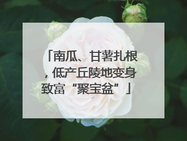 南瓜、甘薯扎根，低产丘陵地变身致富“聚宝盆”
