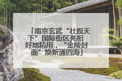南京玄武“壮观天下”国际街区亮相 好地精用，“金陵封面”焕新通四海