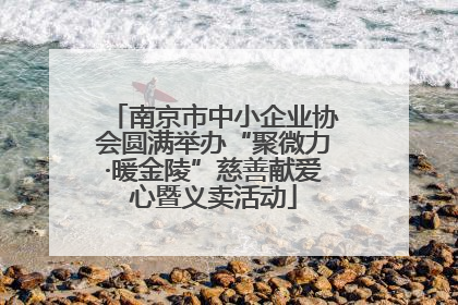 南京市中小企业协会圆满举办“聚微力·暖金陵”慈善献爱心暨义卖活动