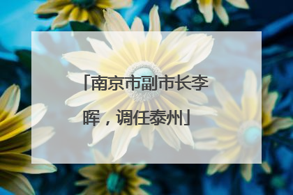 南京市副市长李晖，调任泰州