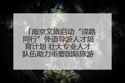 南京文旅启动“译路同行”外语导游人才培育计划 壮大专业人才队伍助力重要国际旅游目的地建设