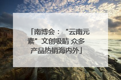 南博会：“云南元素”文创吸睛 众多产品热销海内外