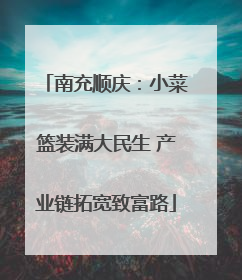 南充顺庆：小菜篮装满大民生 产业链拓宽致富路