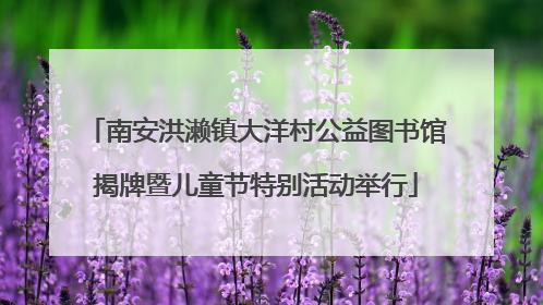 南安洪濑镇大洋村公益图书馆揭牌暨儿童节特别活动举行