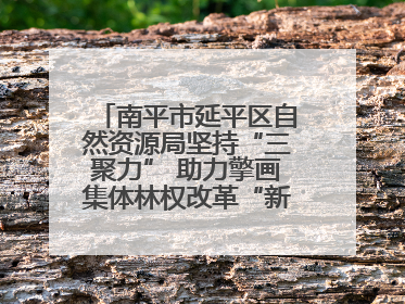 南平市延平区自然资源局坚持“三聚力” 助力擎画集体林权改革“新图景”