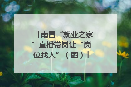 南昌“就业之家”直播带岗让“岗位找人”（图）