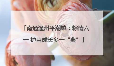 南通通州平潮镇：粽情六一 护苗成长多一“典”