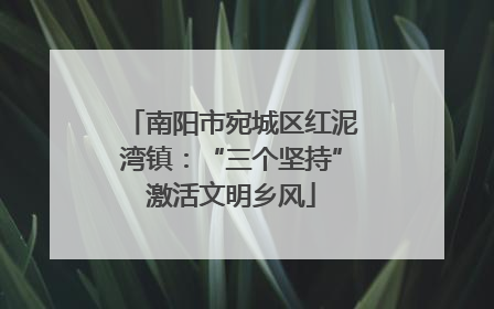 南阳市宛城区红泥湾镇：“三个坚持”激活文明乡风