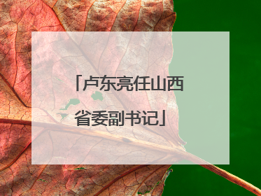 卢东亮任山西省委副书记