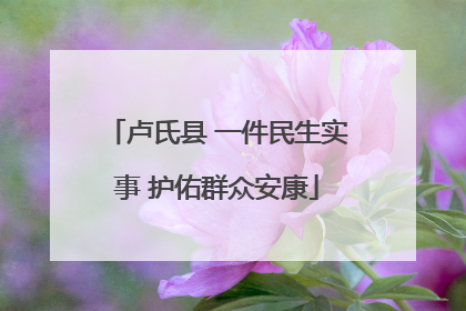 卢氏县 一件民生实事 护佑群众安康