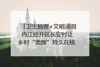 卫生抽查+文明浸润 内江经开区长安村让乡村“美颜”持久在线｜万千气象看四川