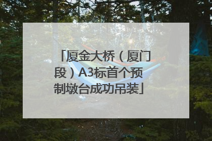 厦金大桥（厦门段）A3标首个预制墩台成功吊装