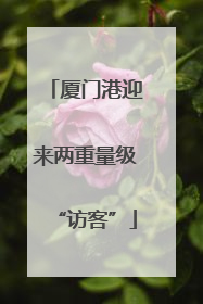 厦门港迎来两重量级“访客”