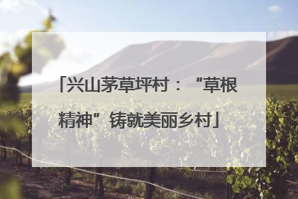 兴山茅草坪村：“草根精神”铸就美丽乡村