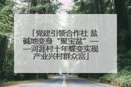 党建引领合作社 盐碱地变身“聚宝盆”——河涯村十年蝶变实现产业兴村群众富