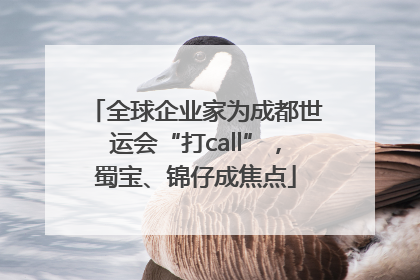 全球企业家为成都世运会“打call”，蜀宝、锦仔成焦点