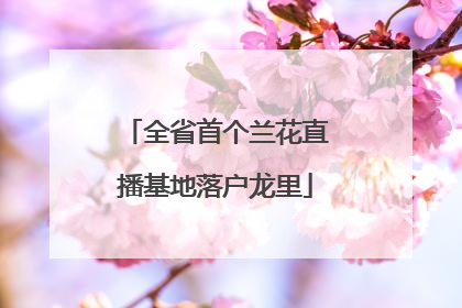 全省首个兰花直播基地落户龙里