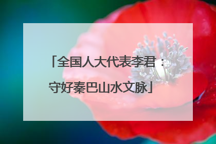 全国人大代表李君：守好秦巴山水文脉