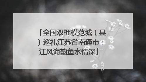 全国双拥模范城（县）巡礼江苏省南通市：江风海韵鱼水情深