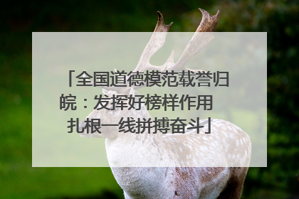全国道德模范载誉归皖：发挥好榜样作用 扎根一线拼搏奋斗